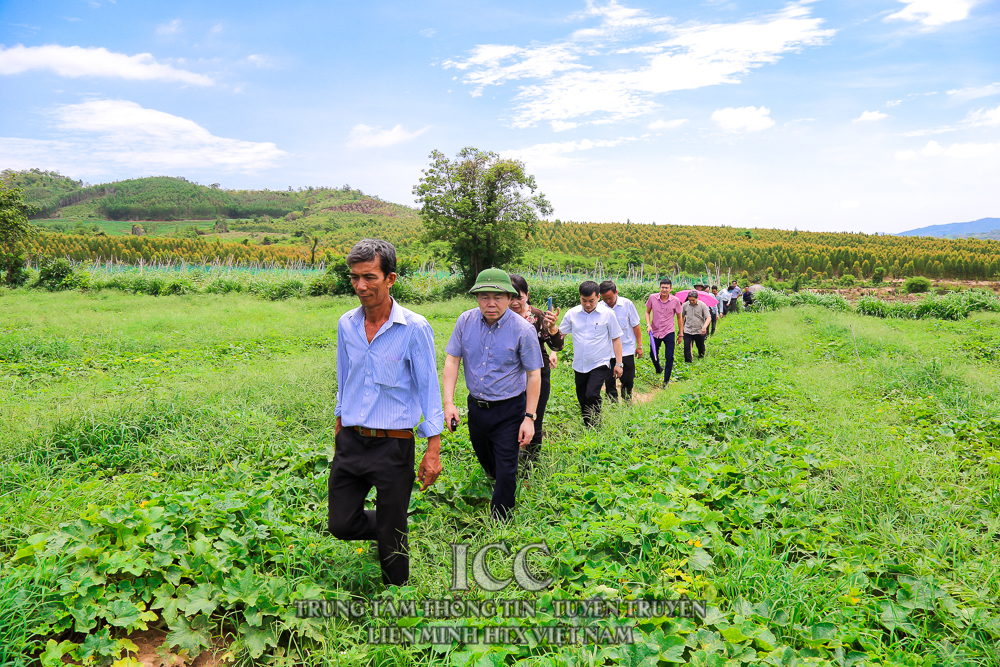Sự kiện Quý II